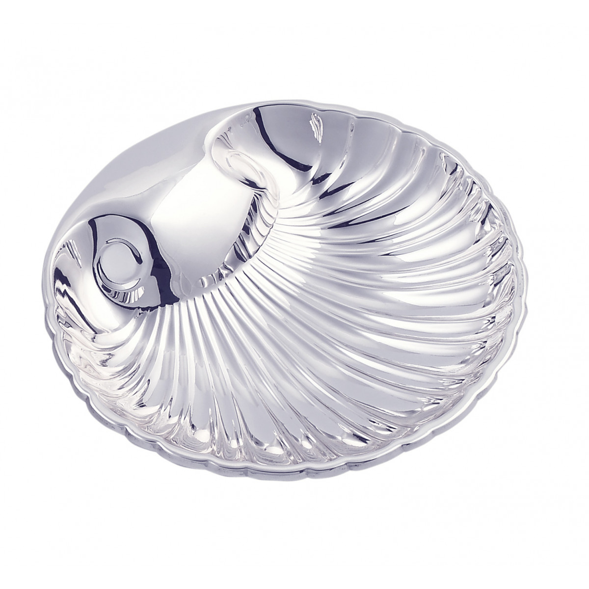 CONCHA ALPAVI 12X12CMS