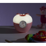 LUZ NOCTURNA MANZANA MUSICAL
