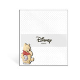 P.FOTOS PLEXIG. WINNIE THE POOH 15X20