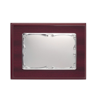 PLACA PREMIUM  BRILLO