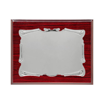 PLACA PLATEADA PERGAMINO BRILLO