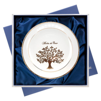 PLATO CONMEMORATIVO A. VIDA