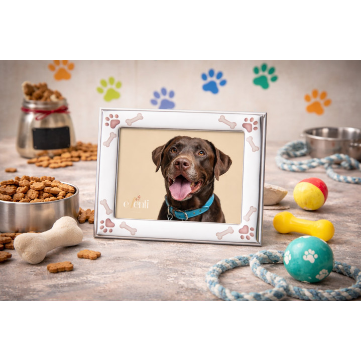 P.FOTOS MASCOTA PERRO