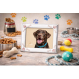 P.FOTOS MASCOTA PERRO