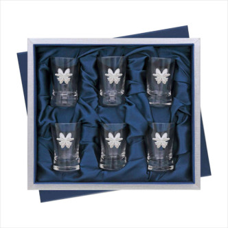 ESTUCHE 6 CHUPITOS ADORNO